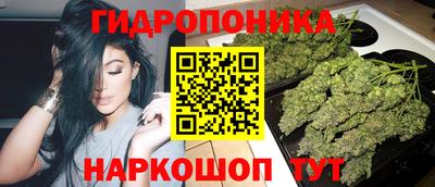 apvp Гай
