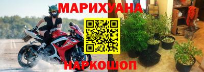 apvp Гай