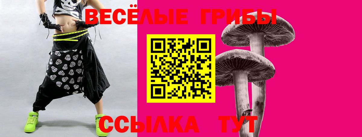 Галлюциногенные грибы мицелий  где можно купить   Нововоронеж  Вход с VPN  Псилоцибиновые грибы Magic Shrooms 